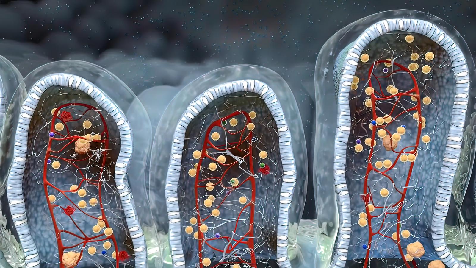 Regenerative Medicine Seminar