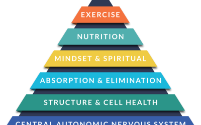 Advanced Health Pyramid