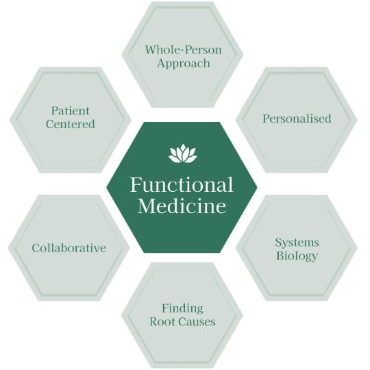 Functional Medicine Graphic Image Functional Medicine Graphic Image